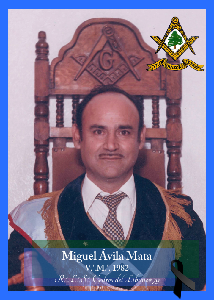 Miguel Ávila Mata